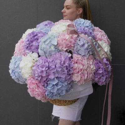 Величезний кошик з 25 гортензій