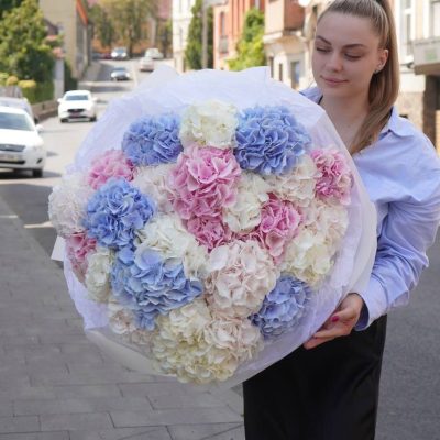 Величезний букет з 25 гортензій