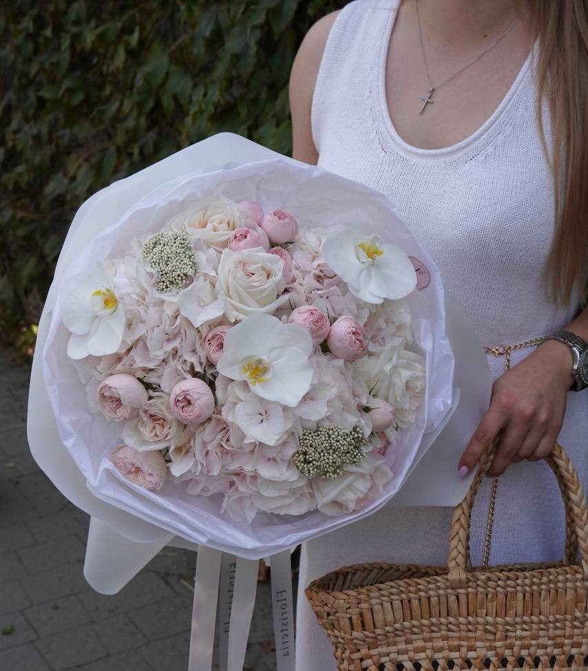 2024-09-15-13.56.32-e1726400913985-1.jpg 2024-09-15-13.56.32-e1726400913985-1.jpg