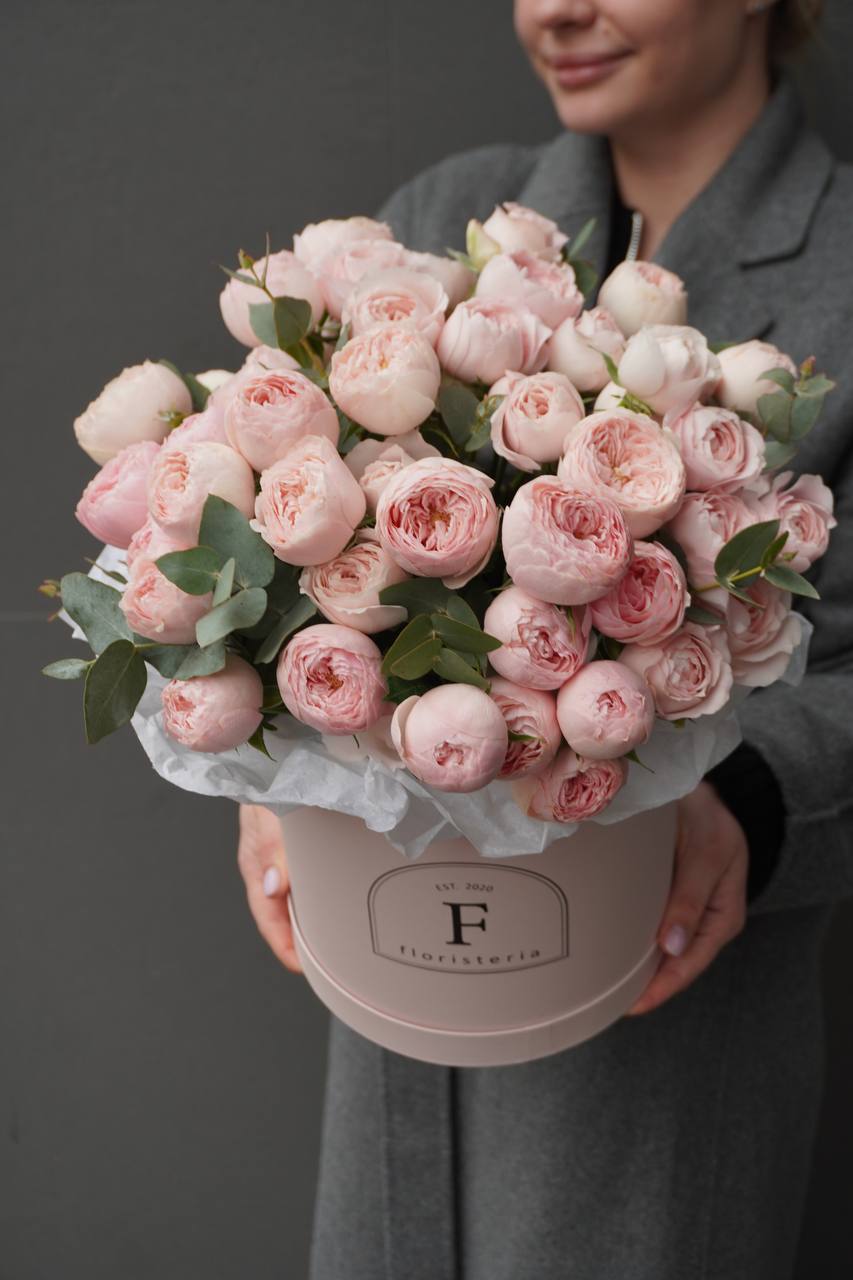 2025-01-31-19.53.12-1.jpg 2025-01-31-19.53.12-1.jpg