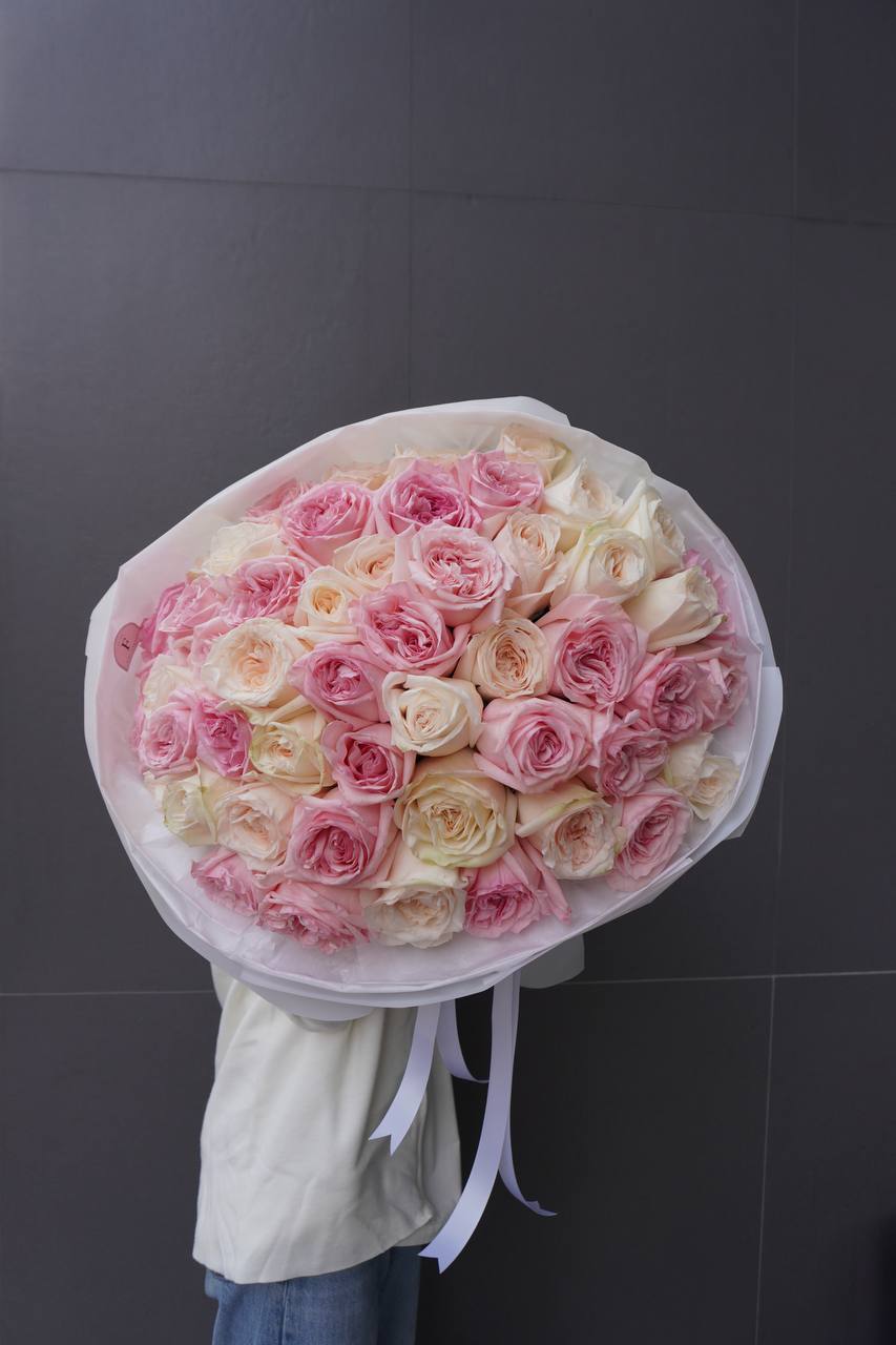 2025-01-31-20.11.46.jpg 2025-01-31-20.11.46.jpg