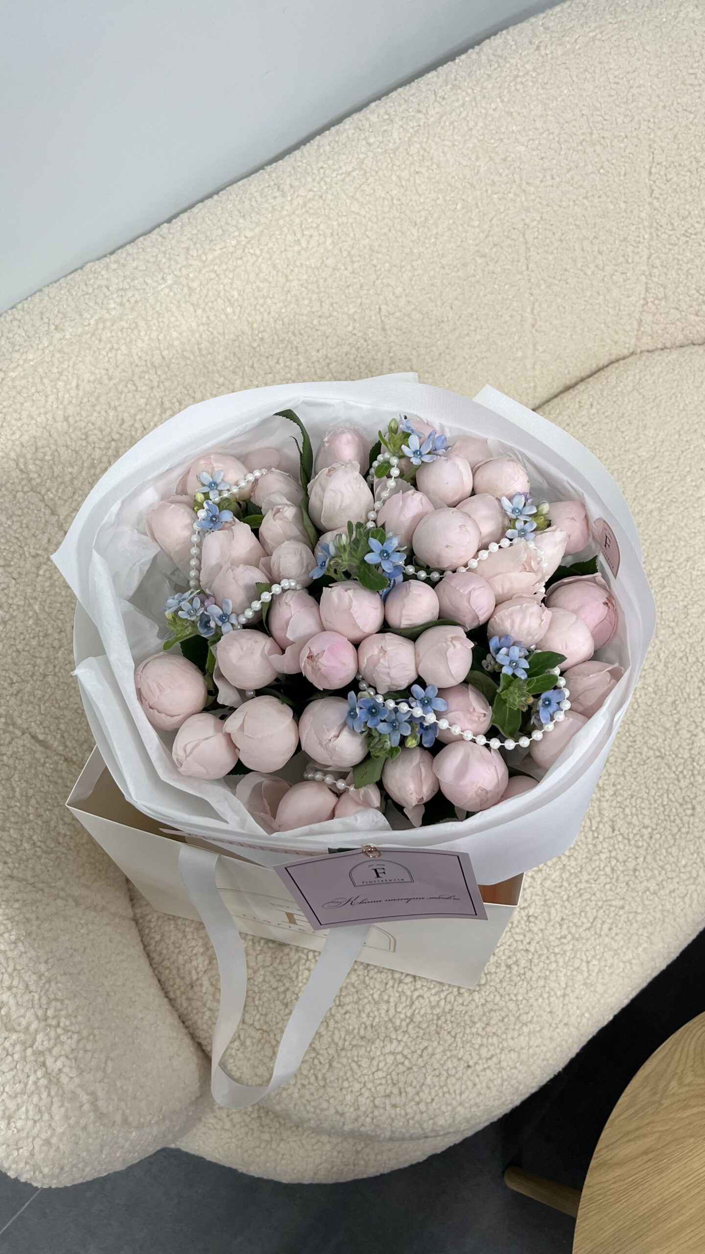 IMG_0074-scaled-2.jpg IMG_0074-scaled-2.jpg