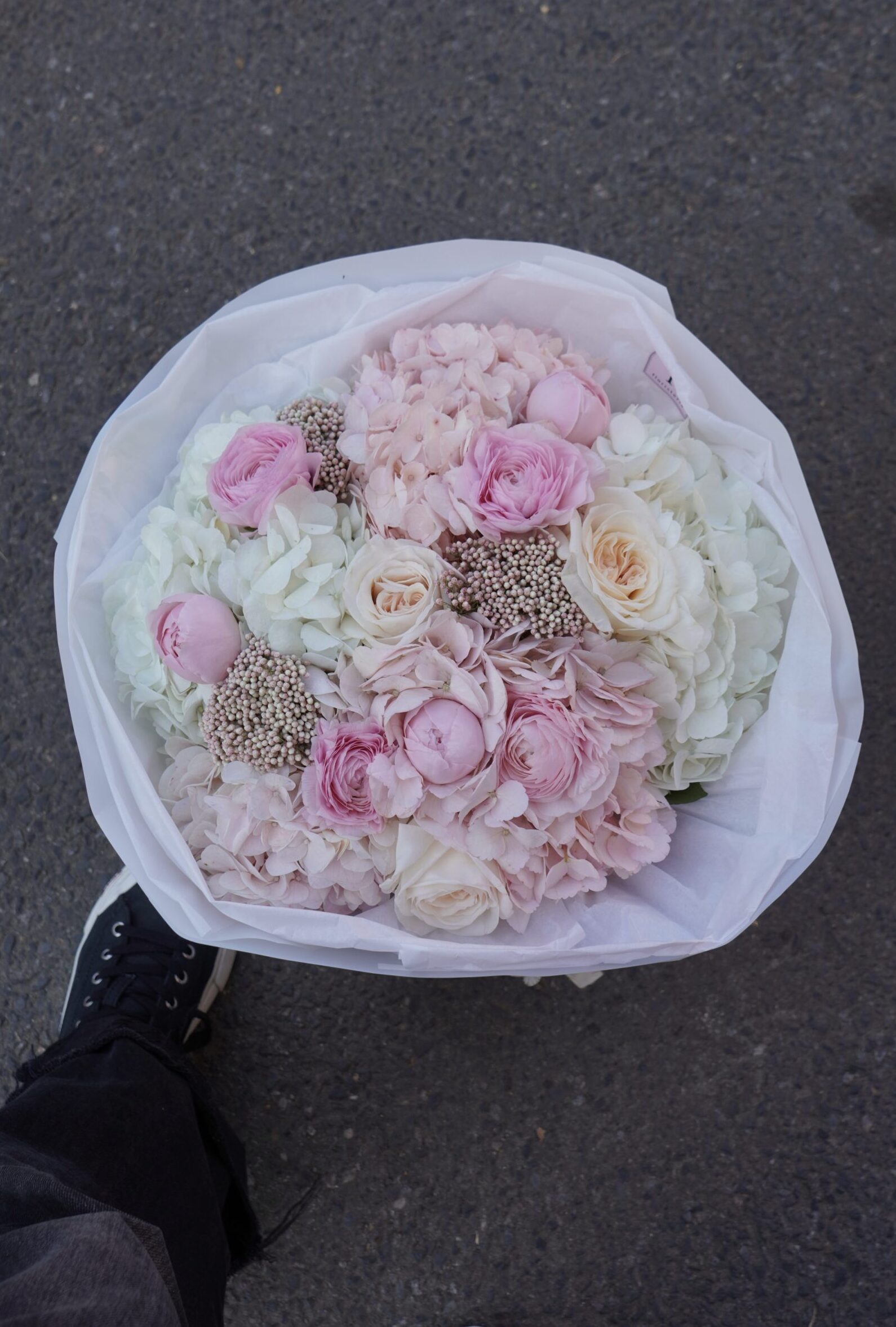 IMG_0245-scaled-e1763067844810.jpg IMG_0245-scaled-e1763067844810.jpg