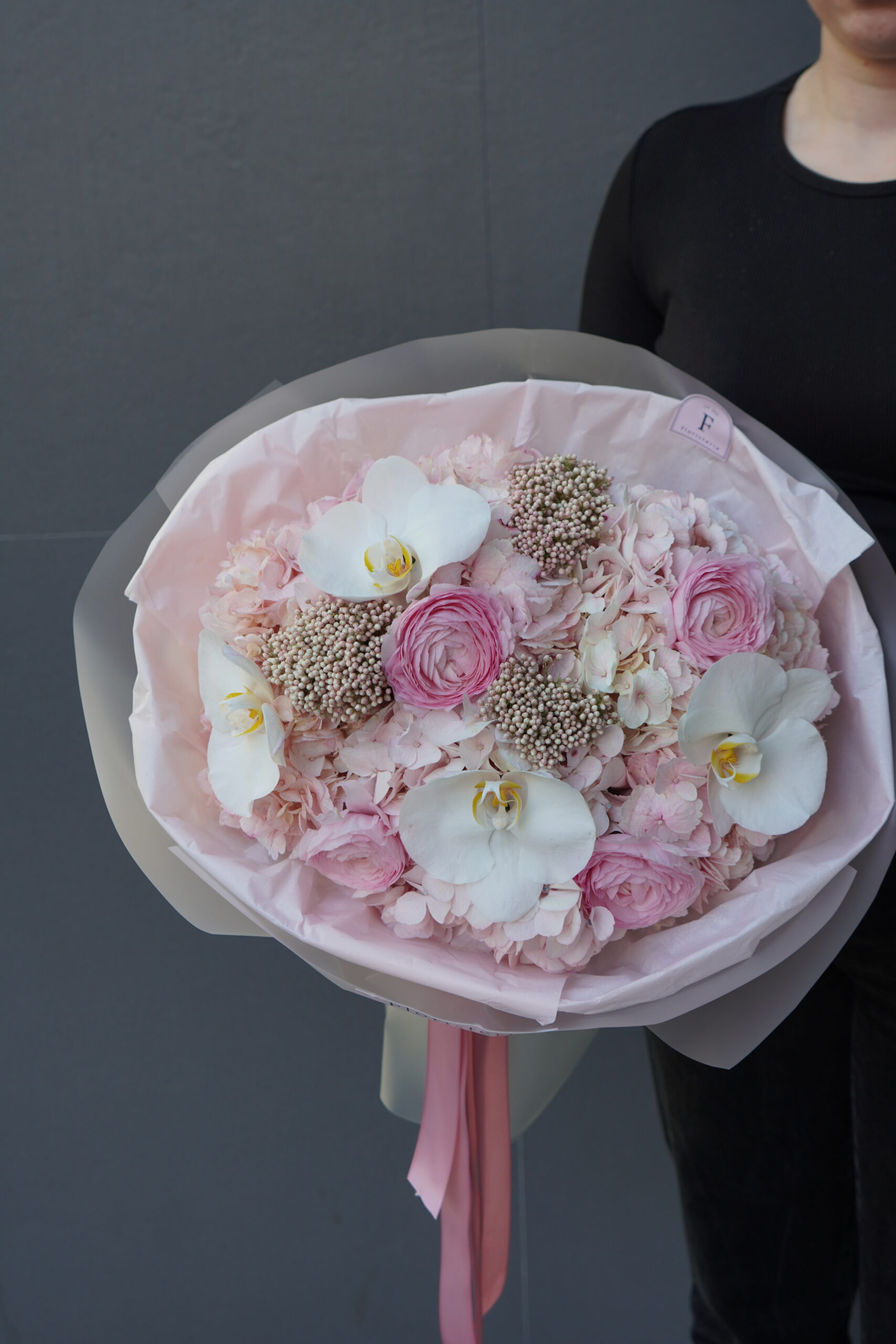 IMG_0318-scaled-1.jpg IMG_0318-scaled-1.jpg