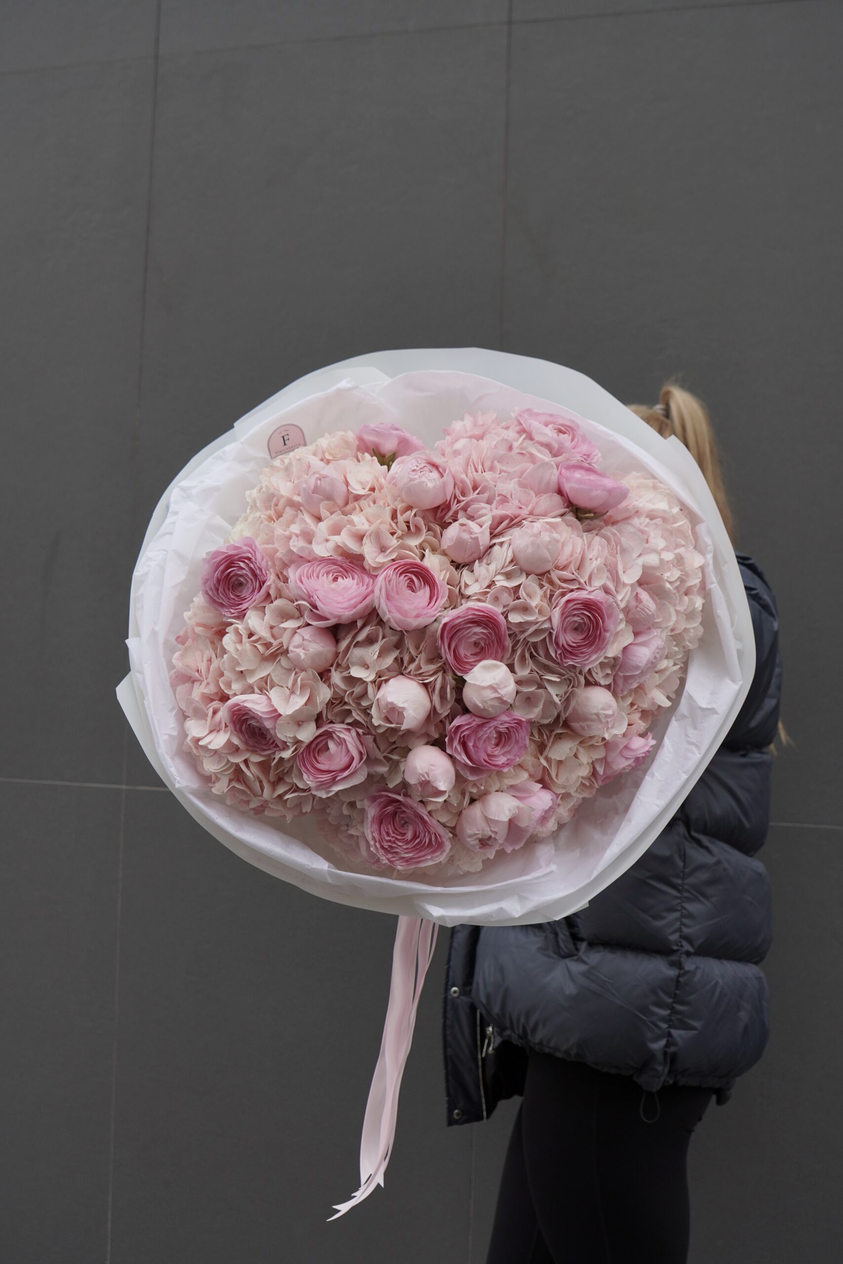 IMG_0569-scaled-1.jpg IMG_0569-scaled-1.jpg