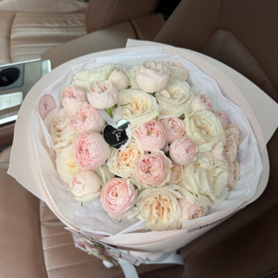 Мікс піоновидних троянд Mansfield Park та White O’Hara