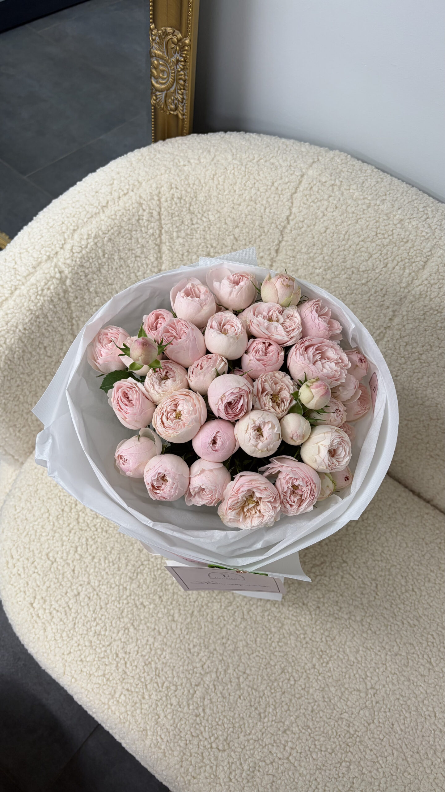 IMG_1369-scaled-1.jpg IMG_1369-scaled-1.jpg