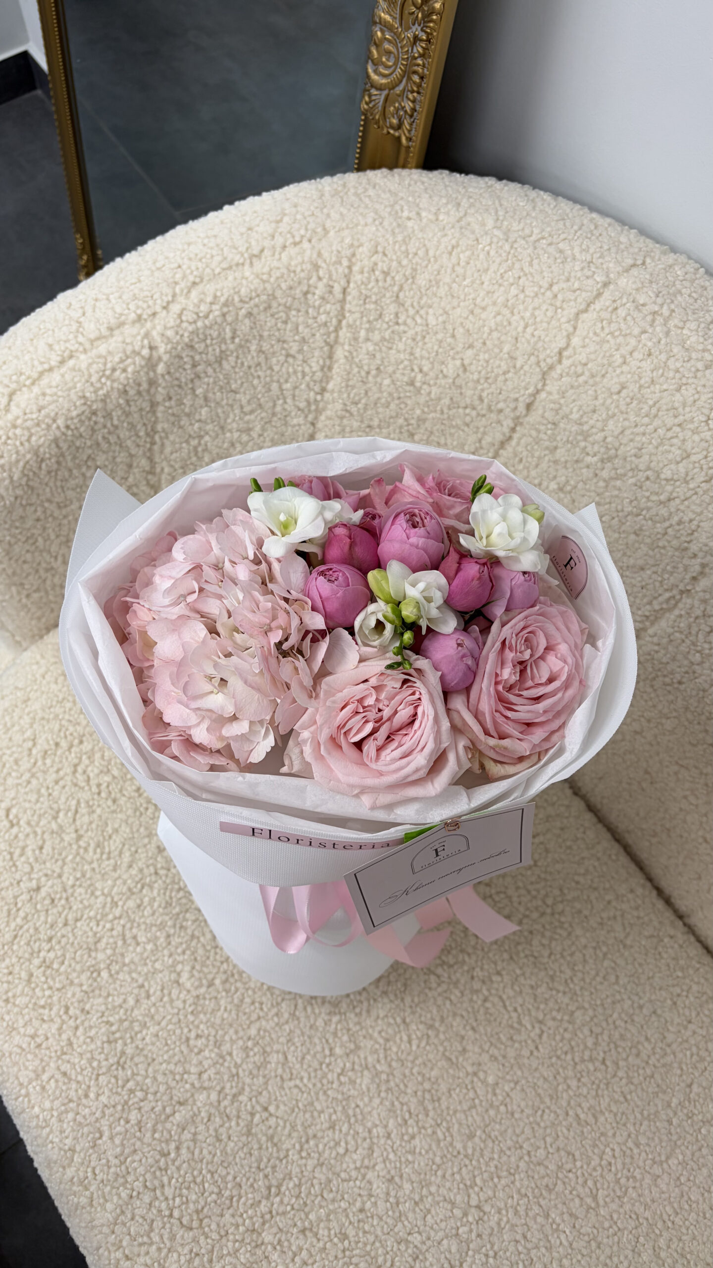 IMG_1370-scaled-2.jpg IMG_1370-scaled-2.jpg