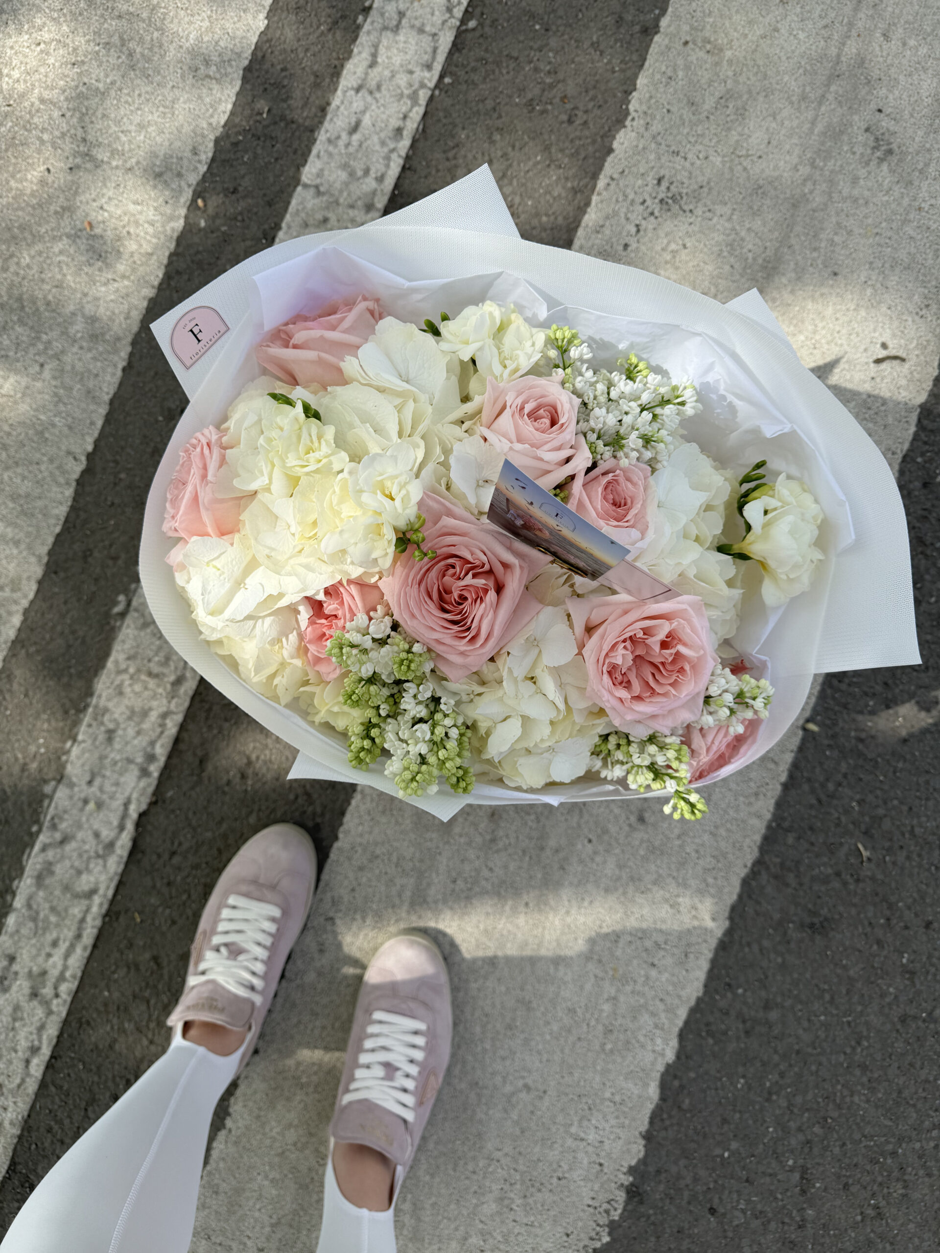 IMG_2517-scaled-1.jpg IMG_2517-scaled-1.jpg