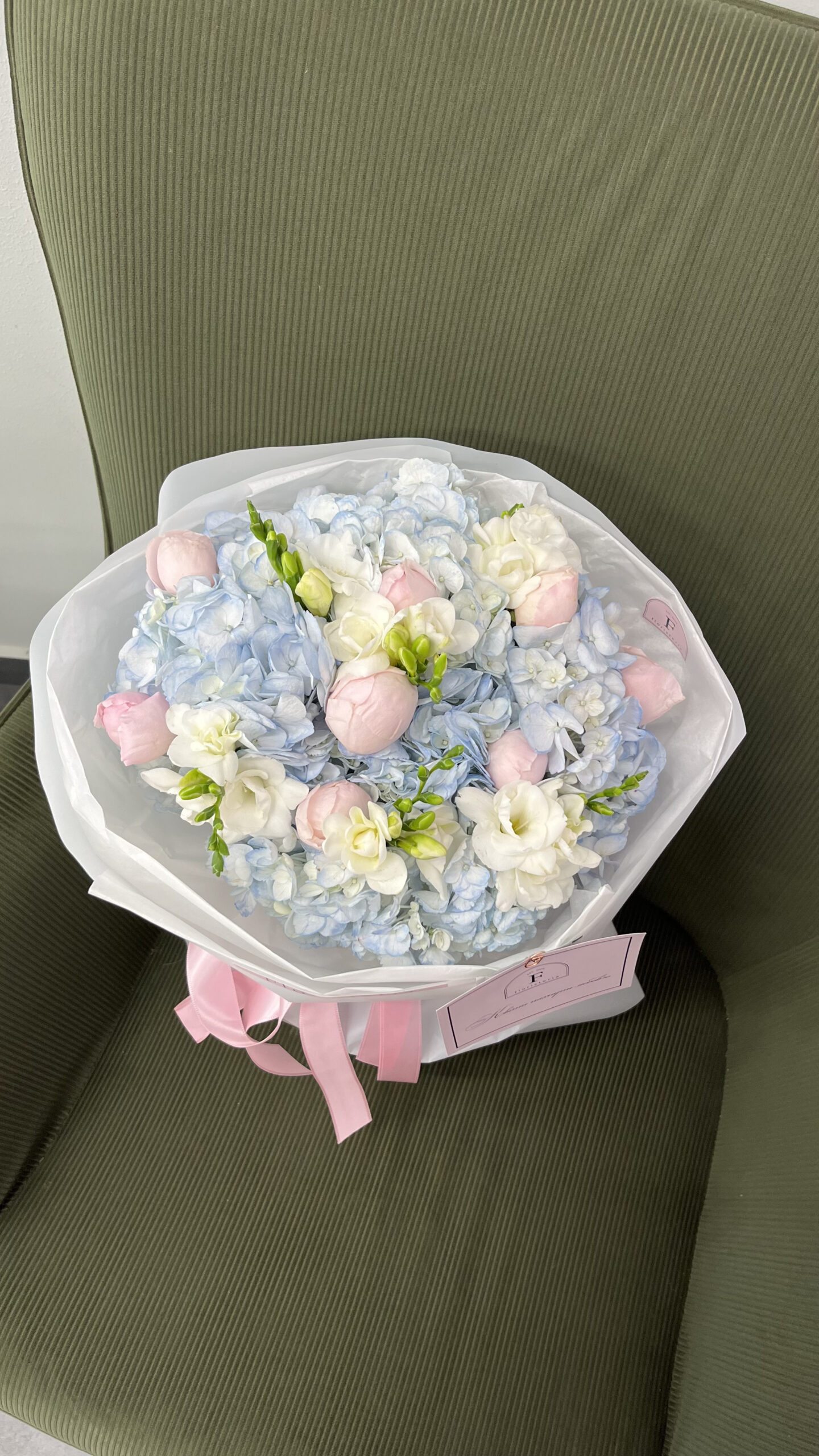 IMG_3280-scaled-3.jpg IMG_3280-scaled-3.jpg