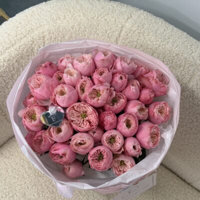 13 кущових троянд Abbey