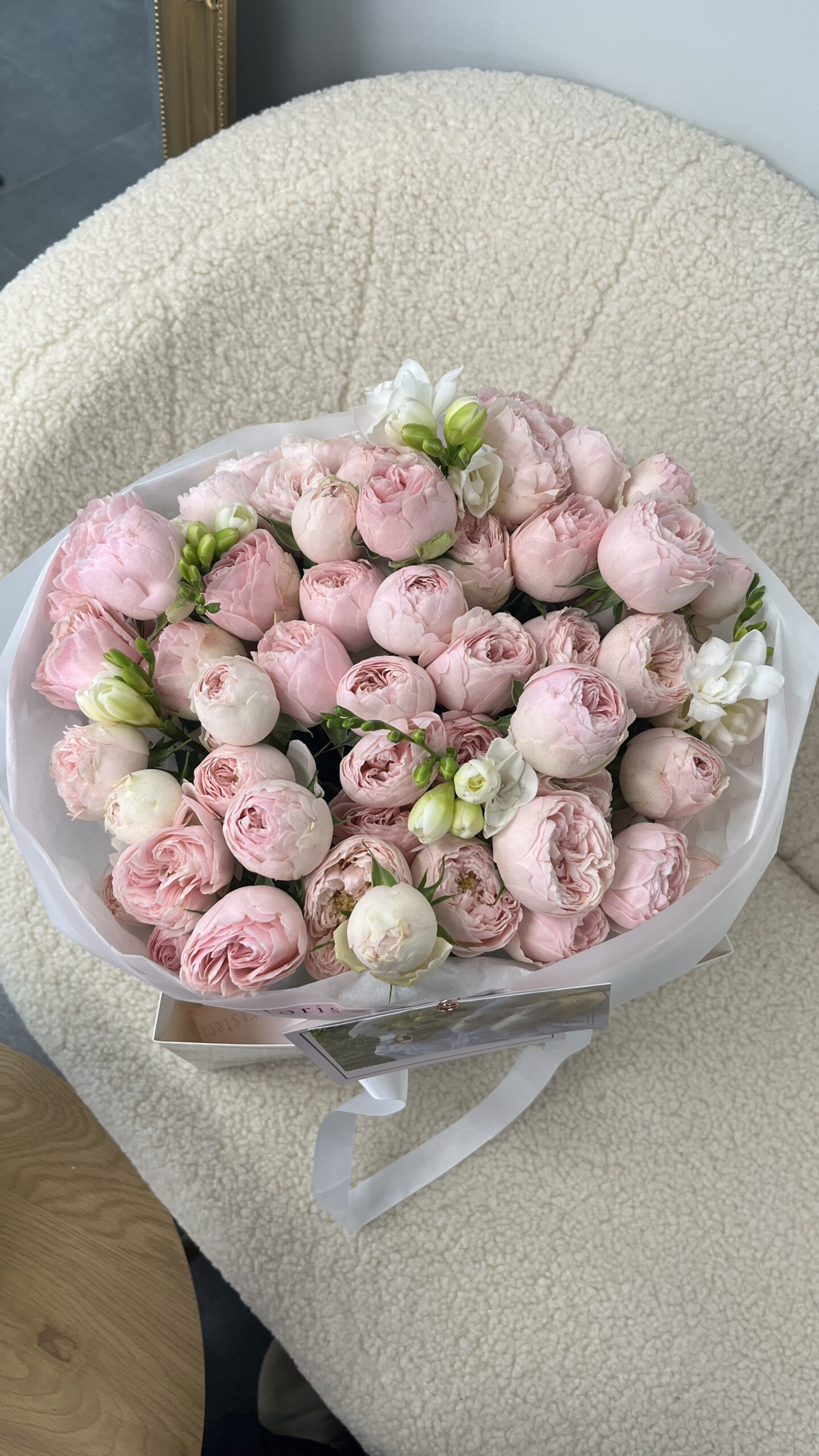 IMG_6055-scaled-1.jpg IMG_6055-scaled-1.jpg