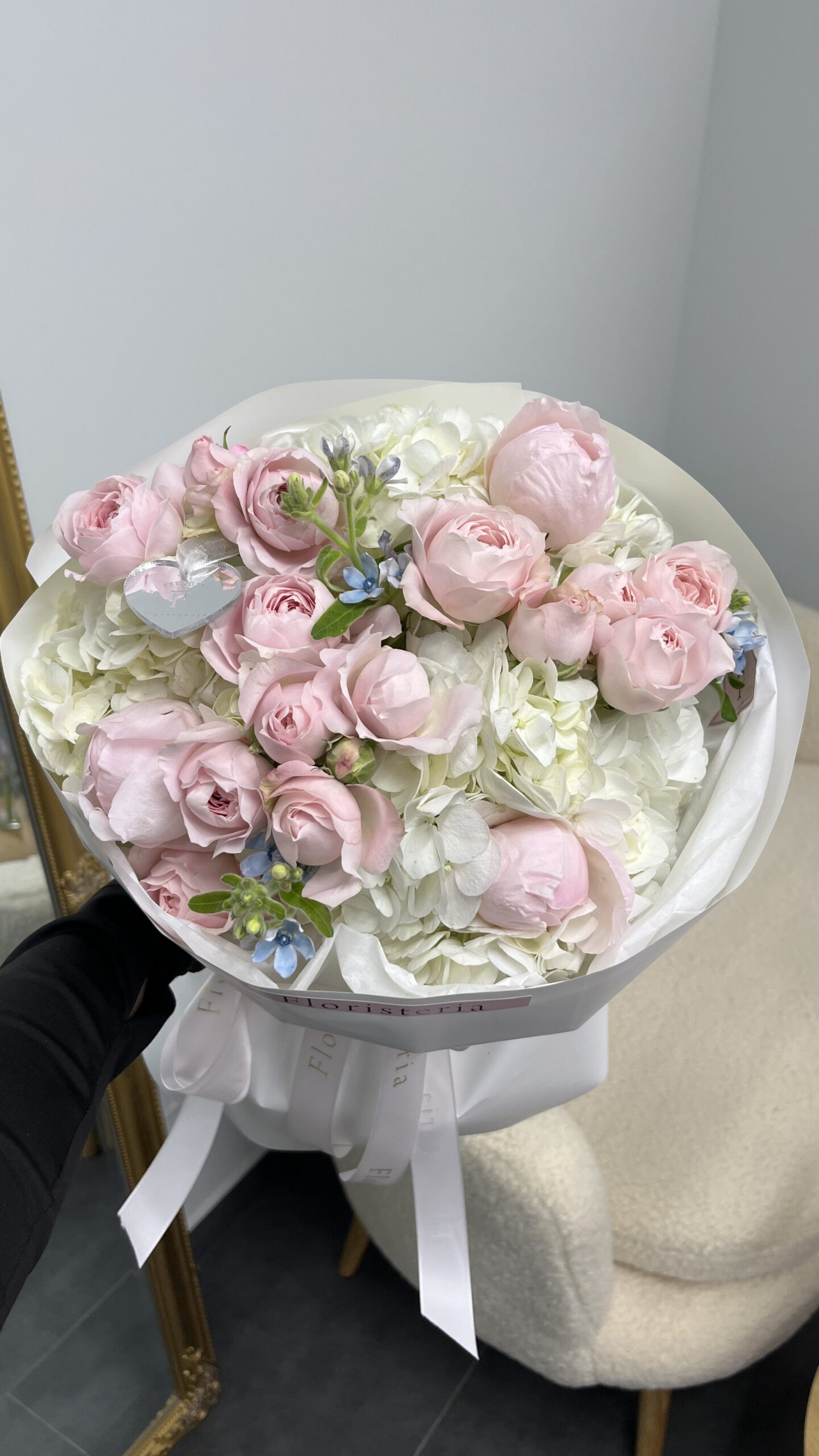 IMG_6573-scaled-3.jpg IMG_6573-scaled-3.jpg