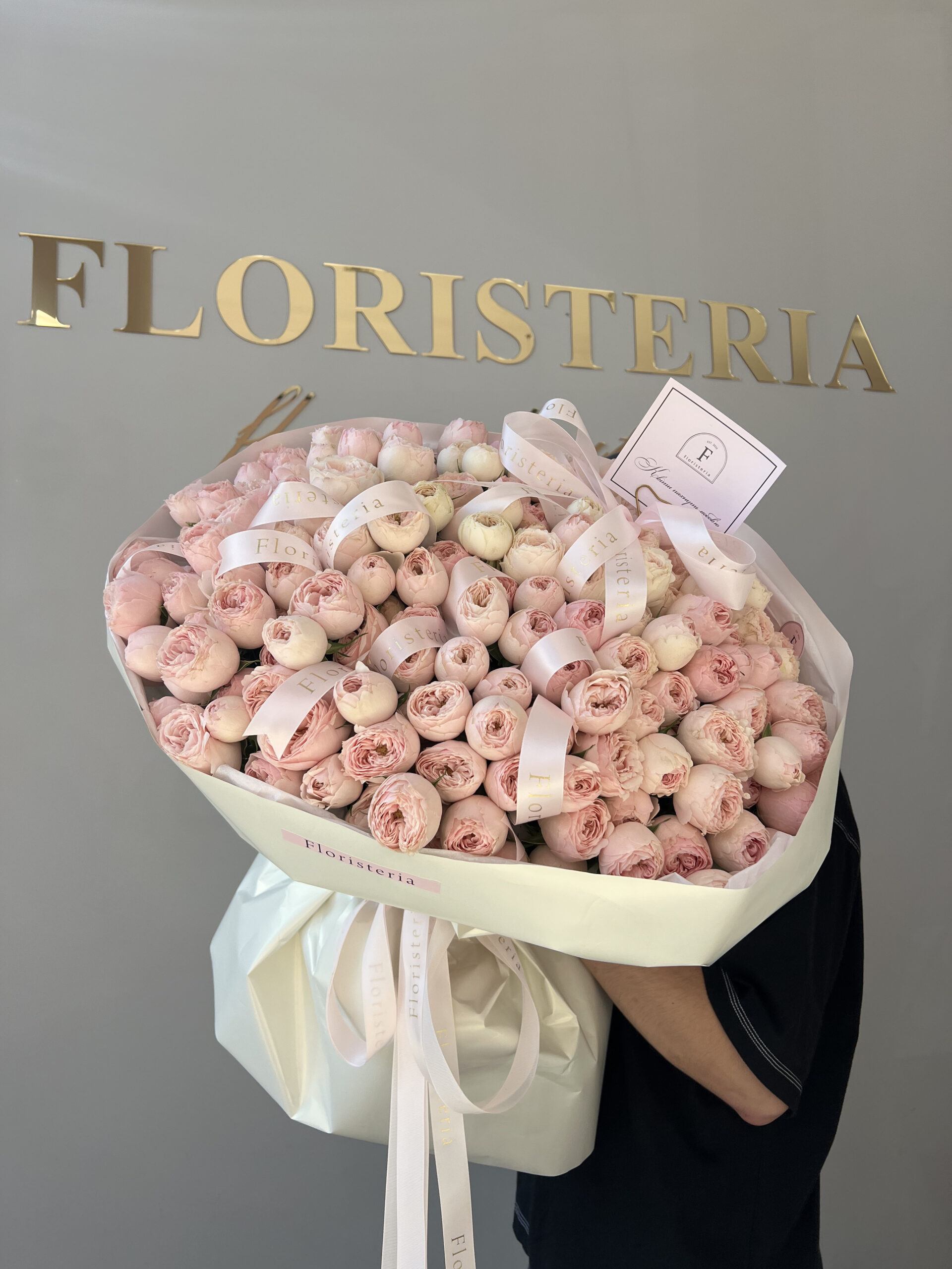 IMG_6577-scaled-1.jpg IMG_6577-scaled-1.jpg