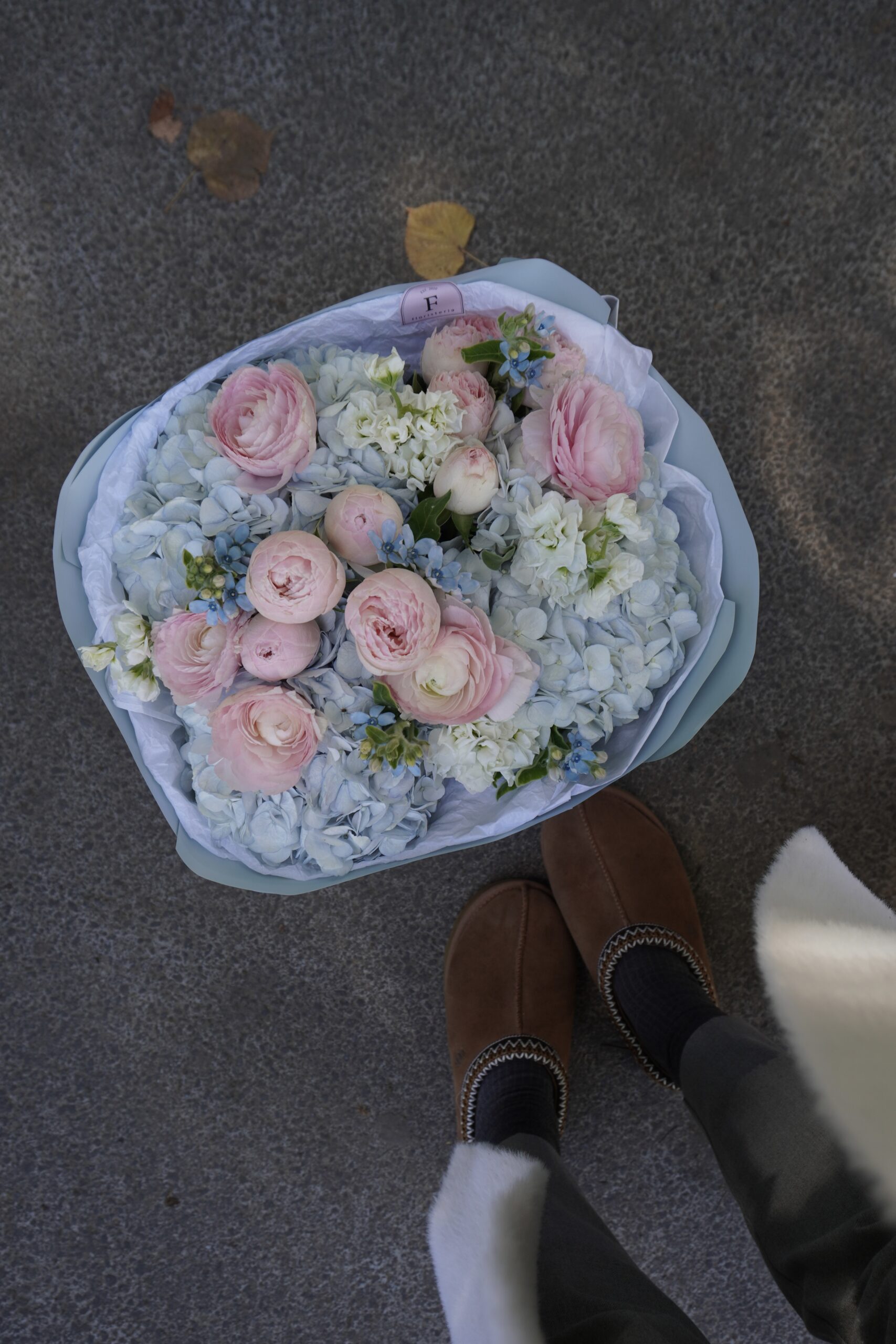 IMG_8362-scaled-3.jpg IMG_8362-scaled-3.jpg