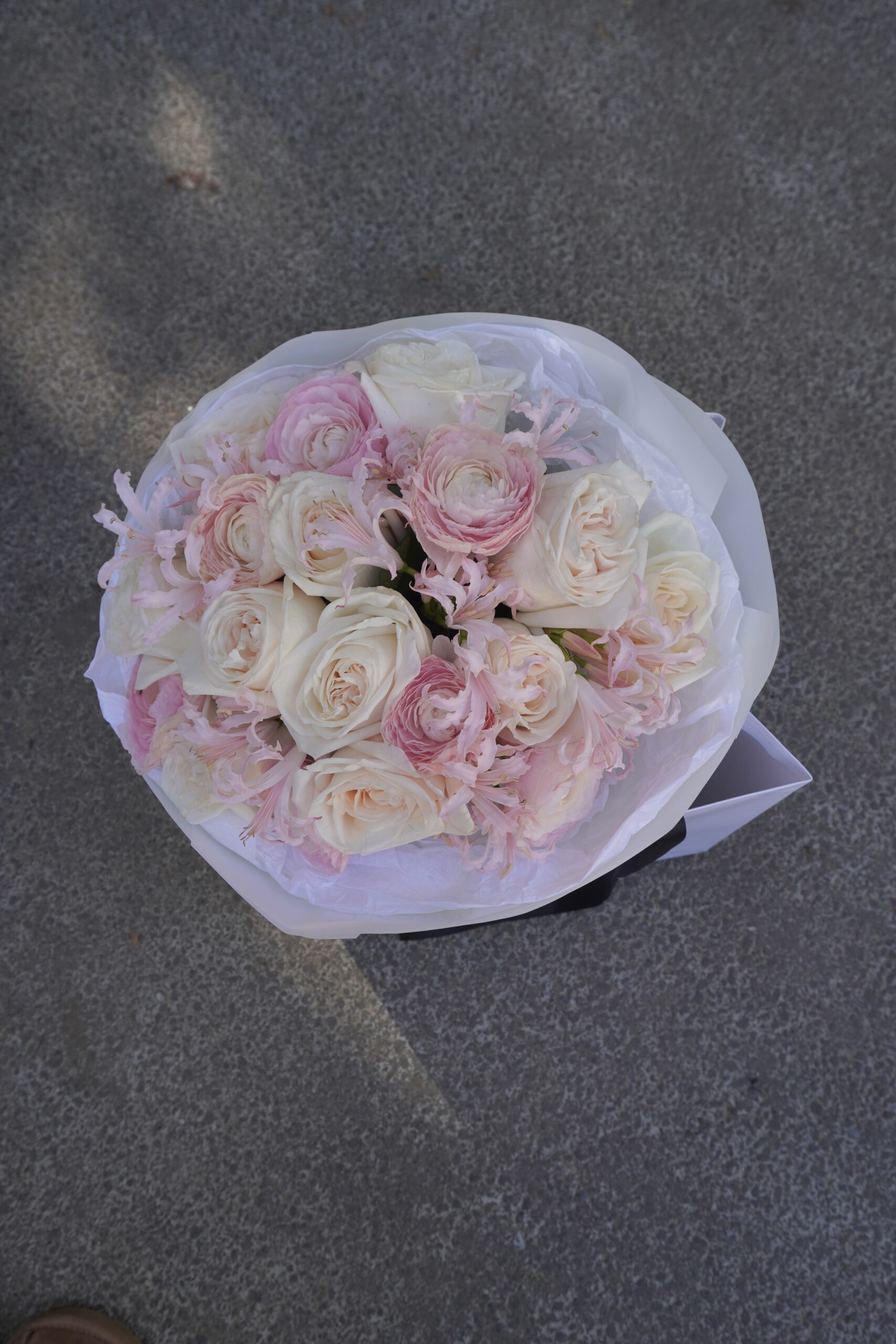 IMG_8363-scaled-2.jpg IMG_8363-scaled-2.jpg