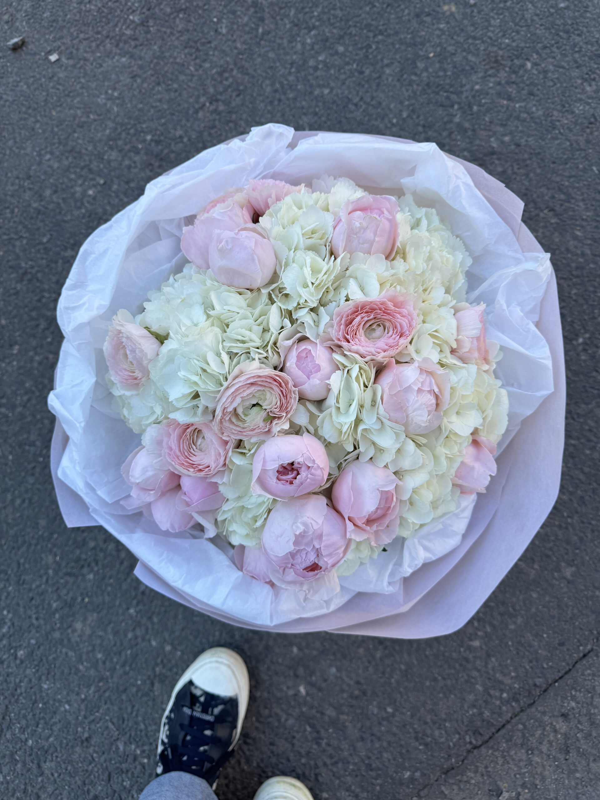 IMG_8581-scaled-2.jpg IMG_8581-scaled-2.jpg