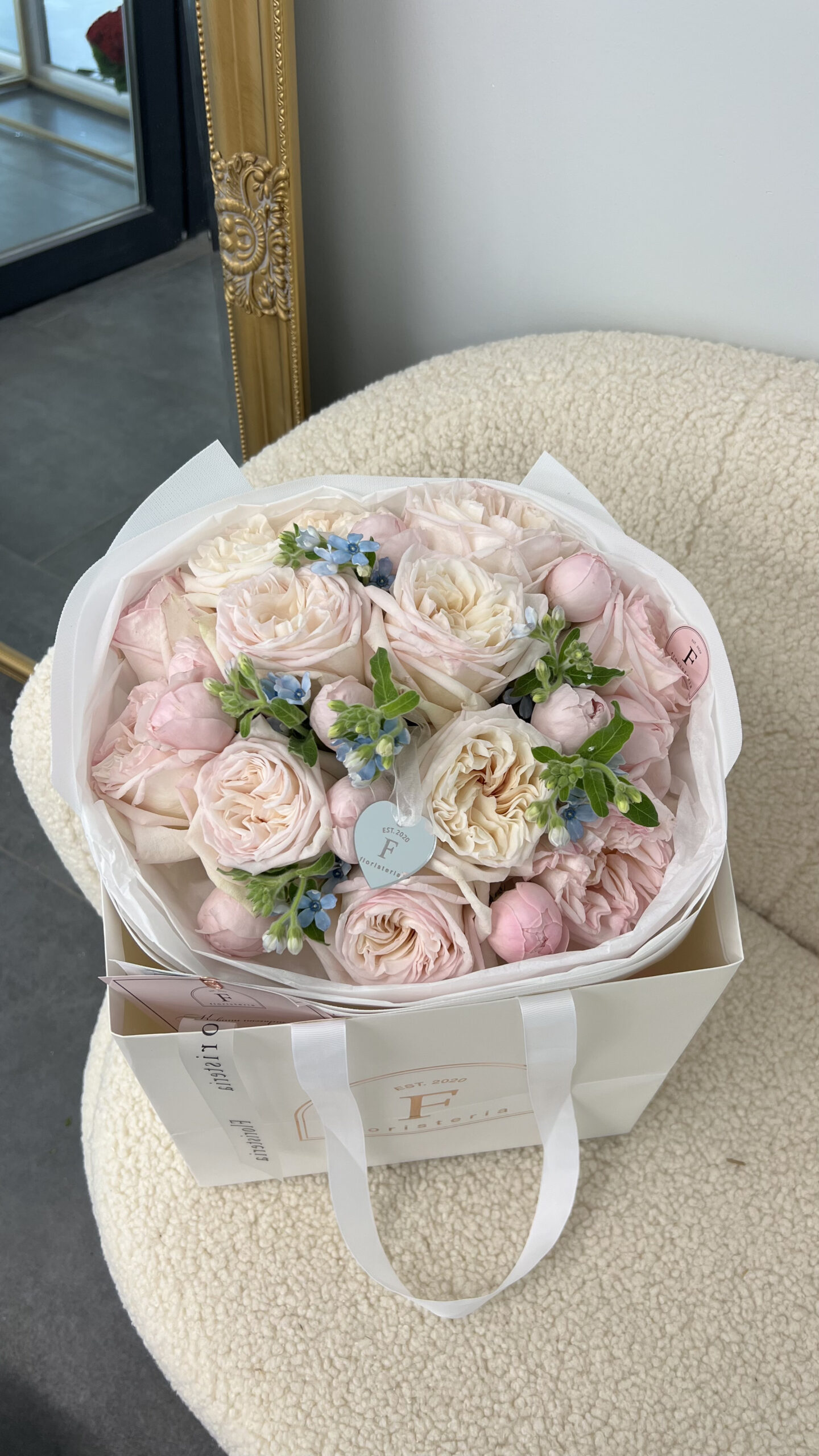 IMG_8717-scaled-1.jpg IMG_8717-scaled-1.jpg