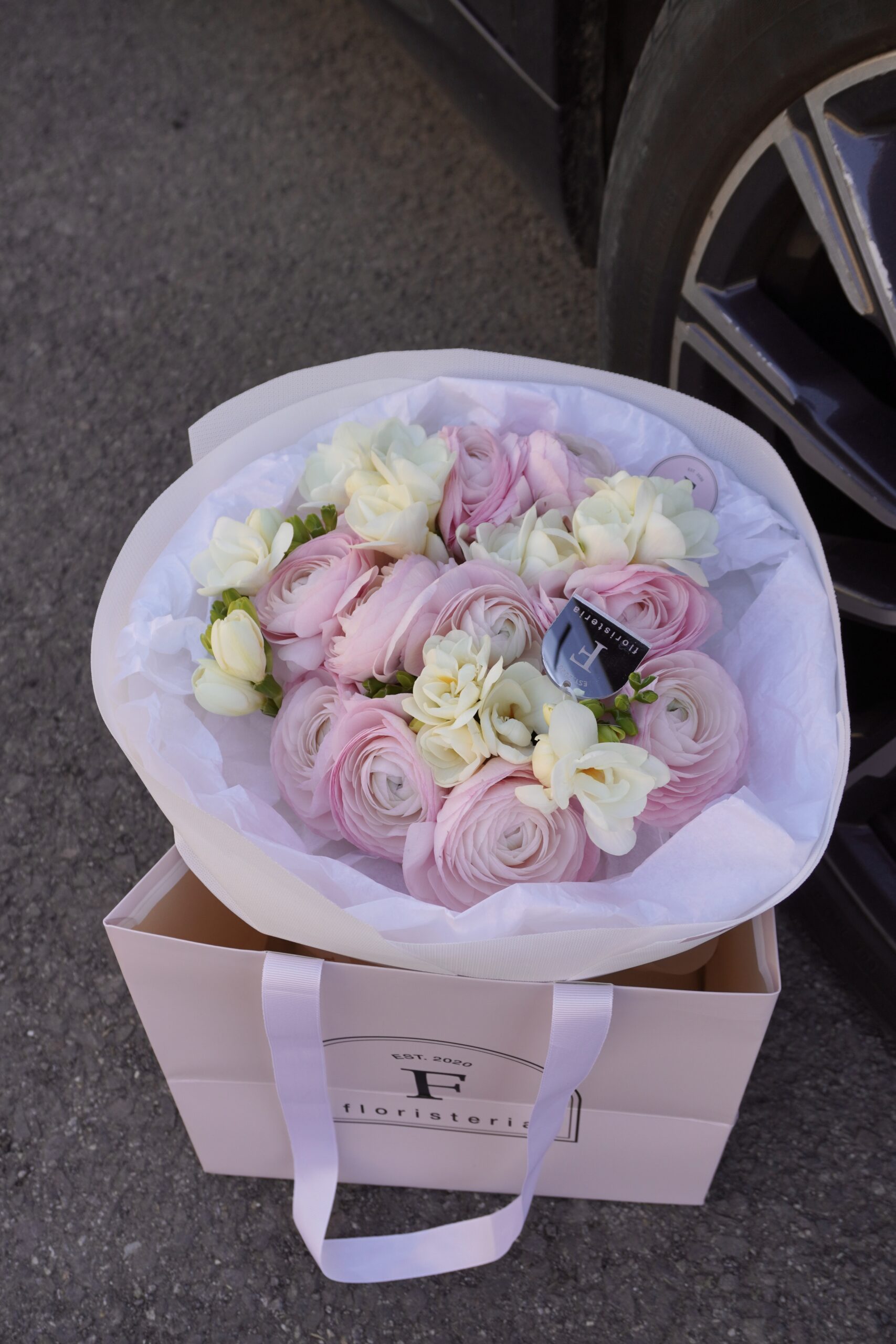 IMG_9480-scaled-1.jpg IMG_9480-scaled-1.jpg