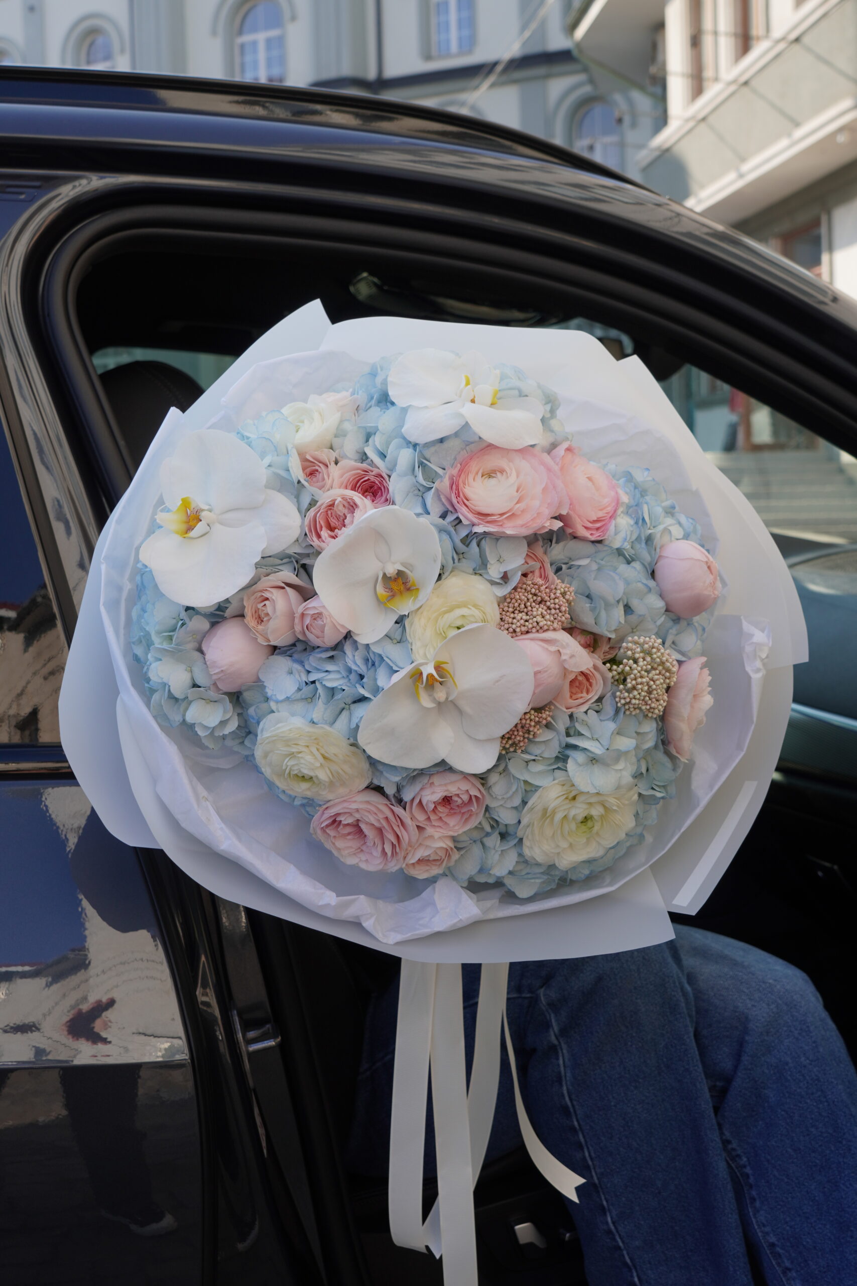 IMG_9629-scaled-1.jpg IMG_9629-scaled-1.jpg