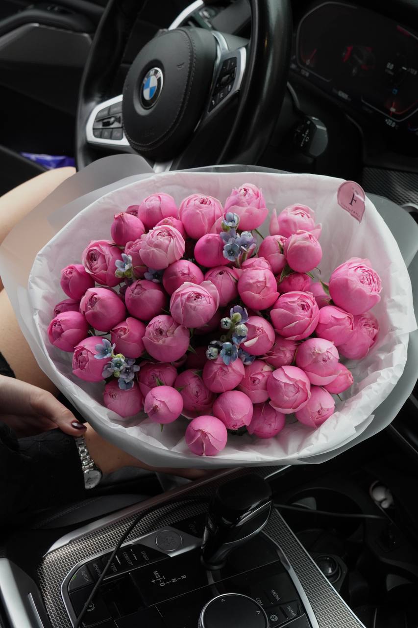 2024-10-20-21.05.28.jpg 2024-10-20-21.05.28.jpg