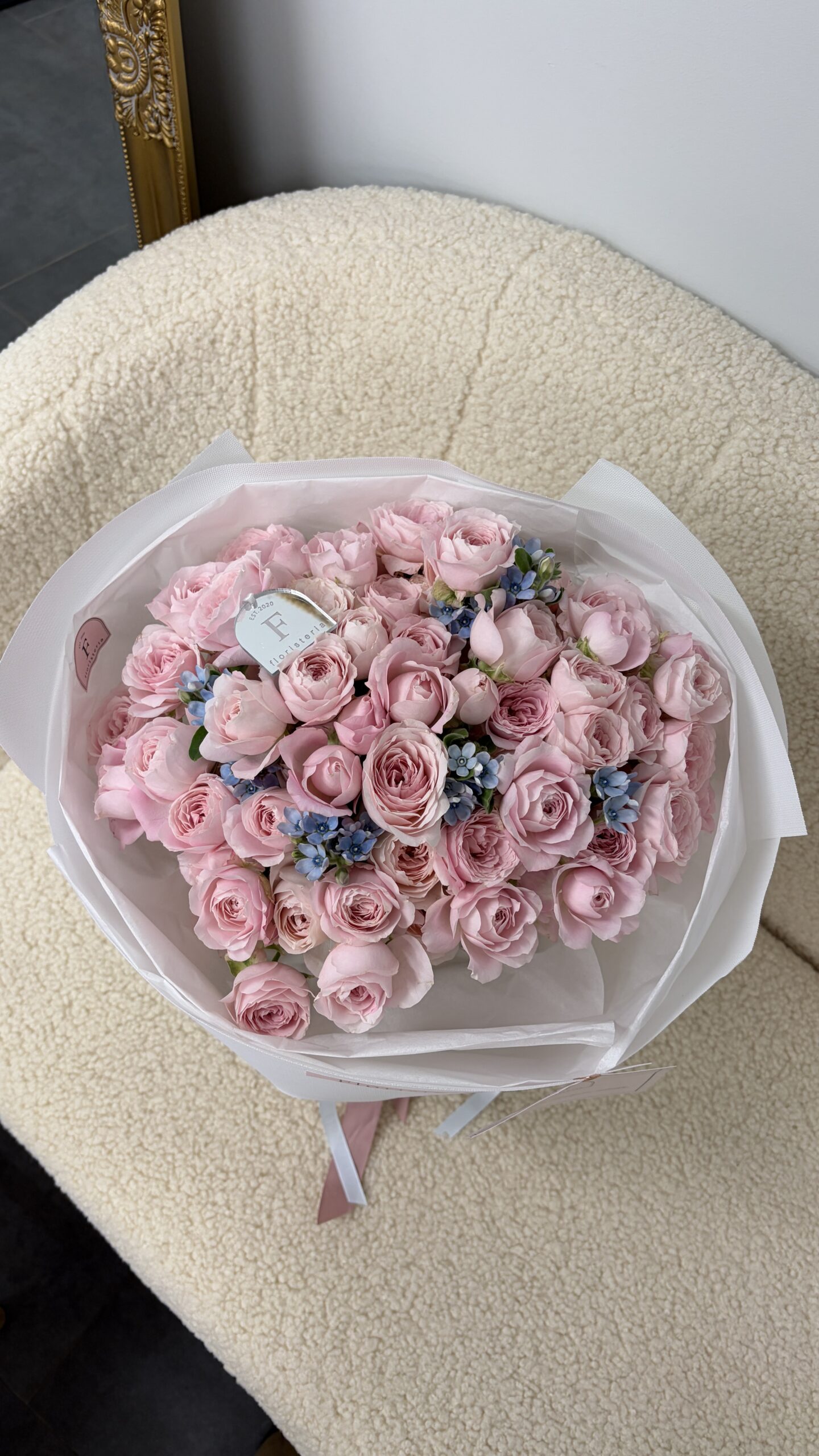 IMG_3632-scaled-1.jpg IMG_3632-scaled-1.jpg