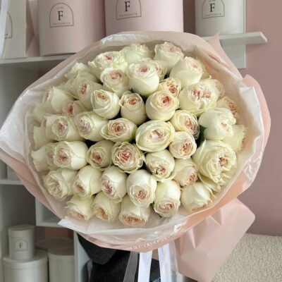 51 піоновидна троянда сорту Lorena Summerhouse