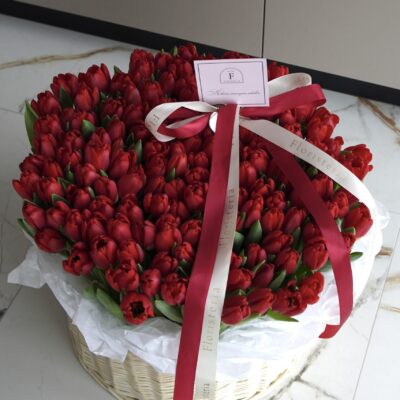 Композиція зі 151 тюльпану