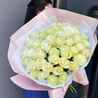 51 біла троянда сорту Mondial