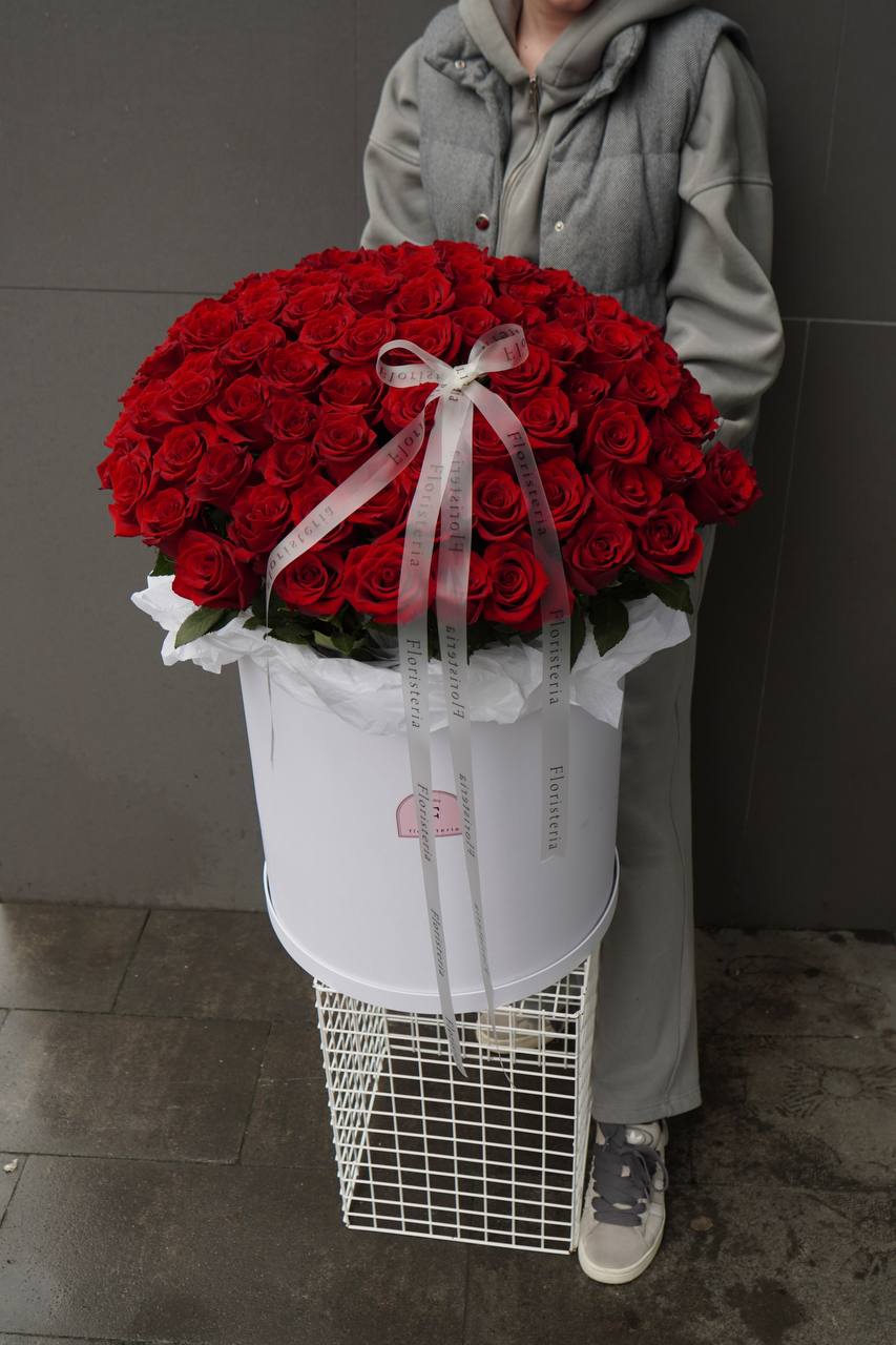 2024-10-20-20.16.36-1.jpg 2024-10-20-20.16.36-1.jpg