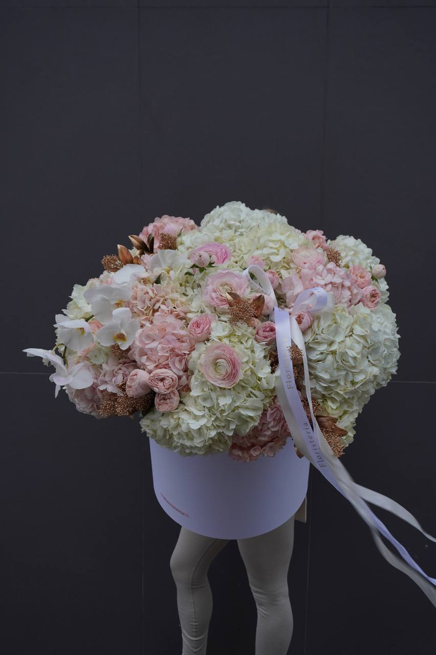 2024-12-08-21.59.51-1.jpg 2024-12-08-21.59.51-1.jpg