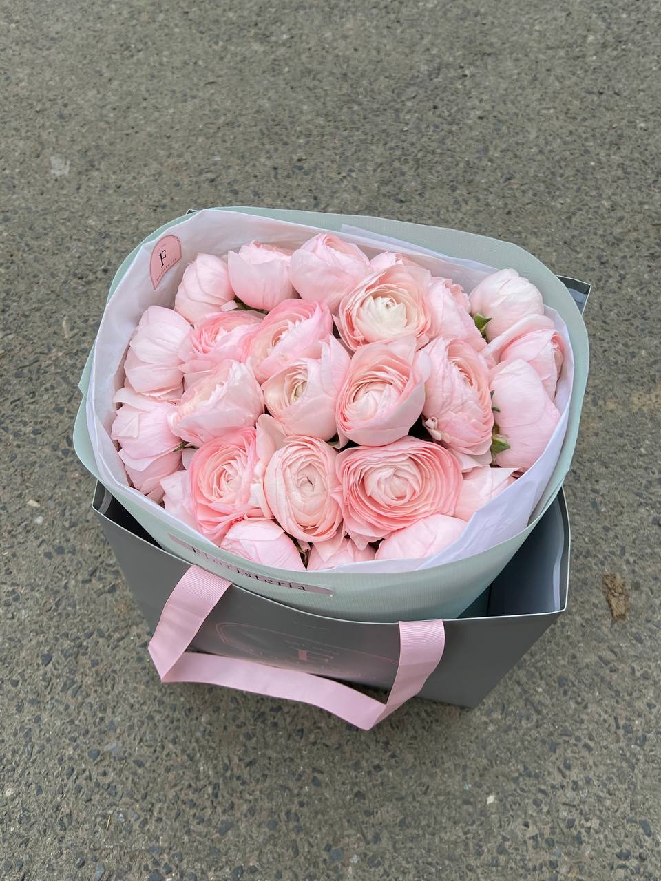 2025-01-30-14.59.19.jpg 2025-01-30-14.59.19.jpg