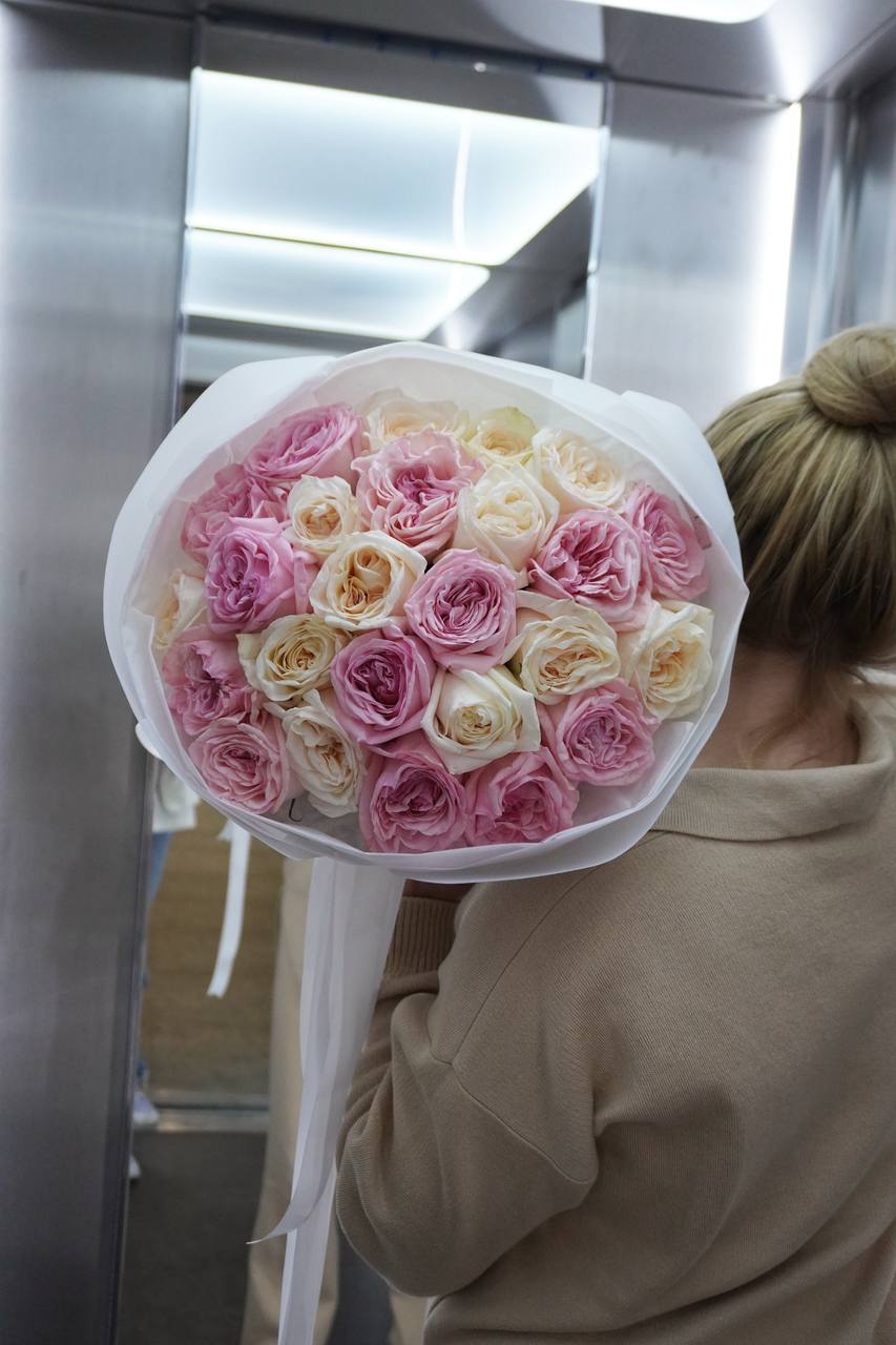 2025-01-31-20.11.42-2.jpg 2025-01-31-20.11.42-2.jpg