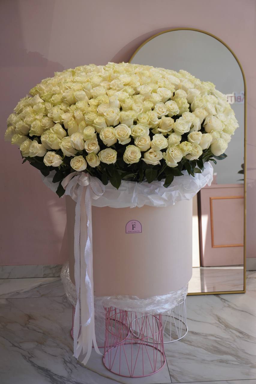 2025-02-05-18.59.51-1.jpg 2025-02-05-18.59.51-1.jpg