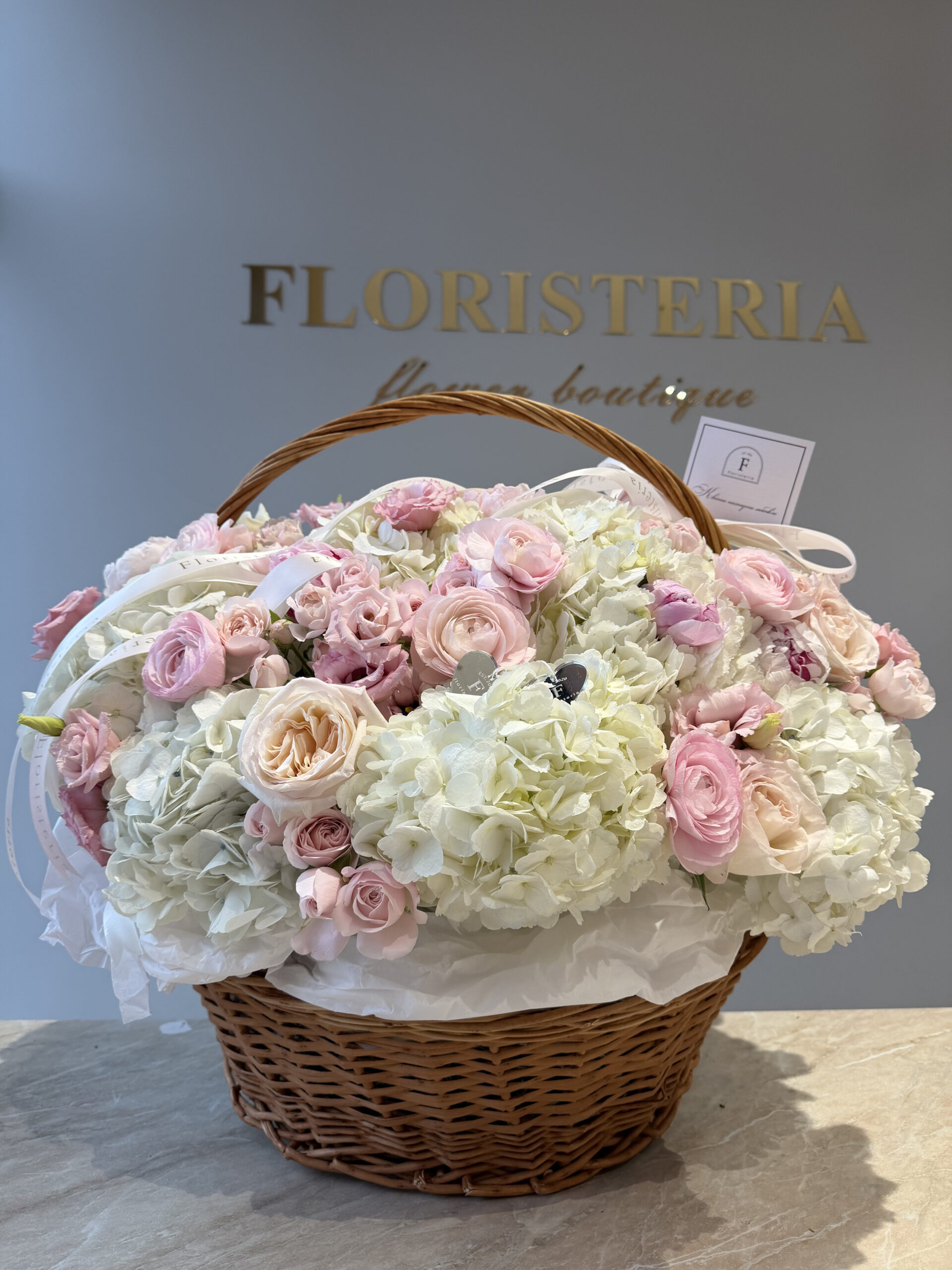 IMG_3402-scaled-1.jpg IMG_3402-scaled-1.jpg