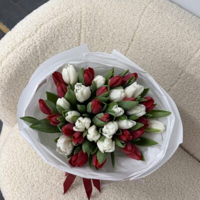 Мікс з 35 червоних та білих тюльпанів