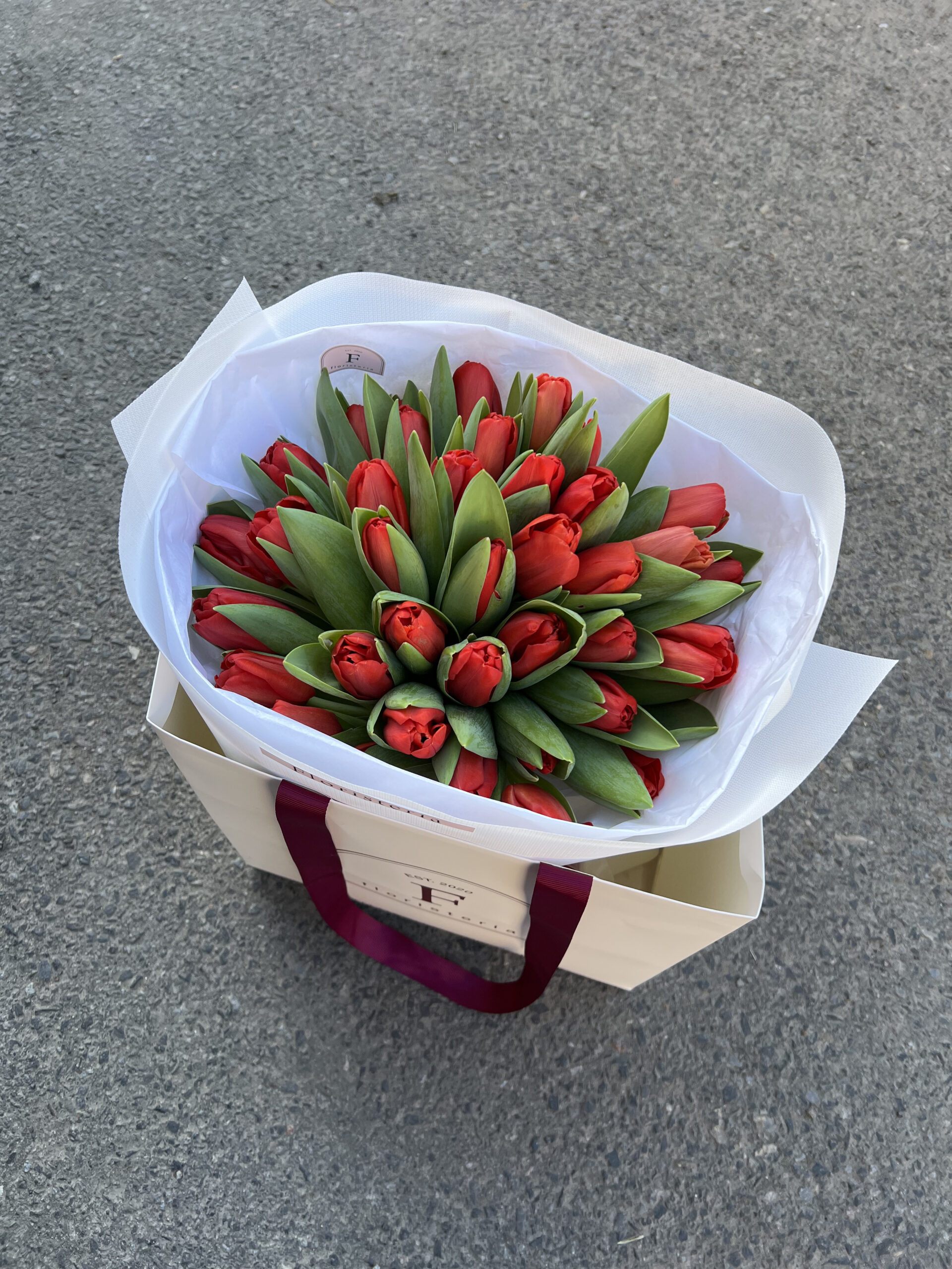 IMG_6479-scaled-2.jpg IMG_6479-scaled-2.jpg