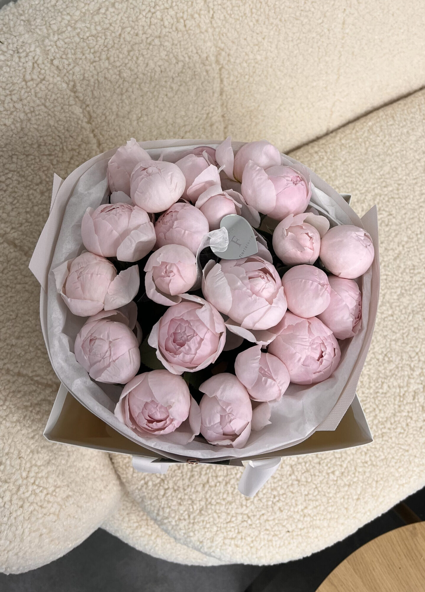 IMG_6599-scaled-e1762256239228-3.jpg IMG_6599-scaled-e1762256239228-3.jpg