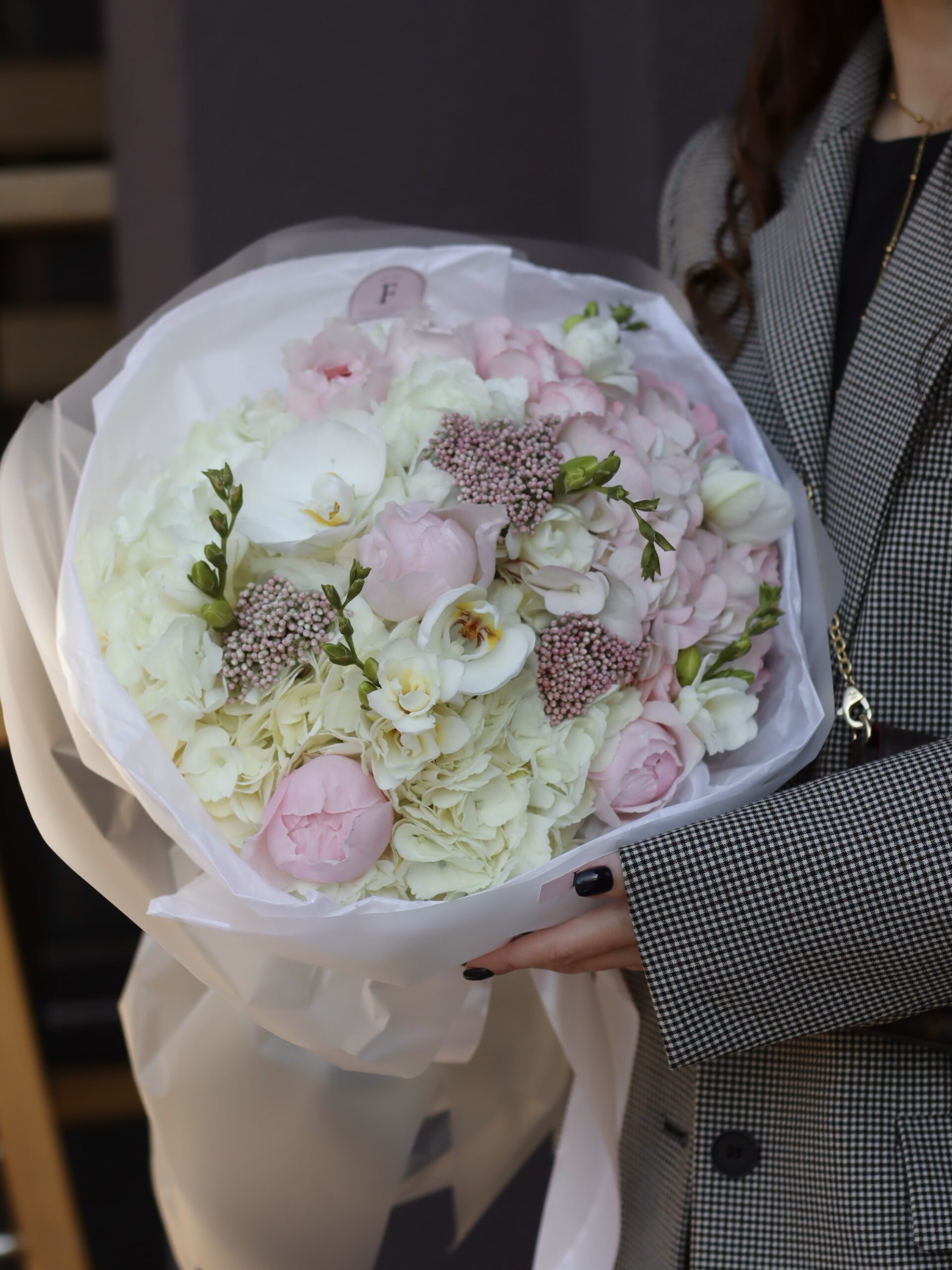 IMG_6658-1-scaled-1.jpg IMG_6658-1-scaled-1.jpg