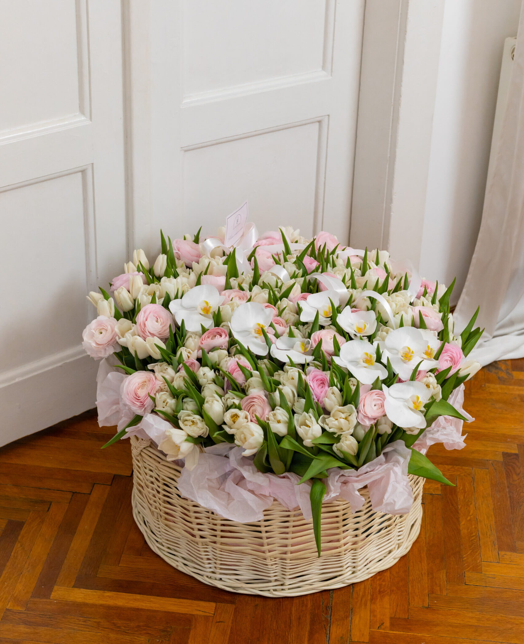 IMG_7444-scaled-e1772223828223.jpg IMG_7444-scaled-e1772223828223.jpg