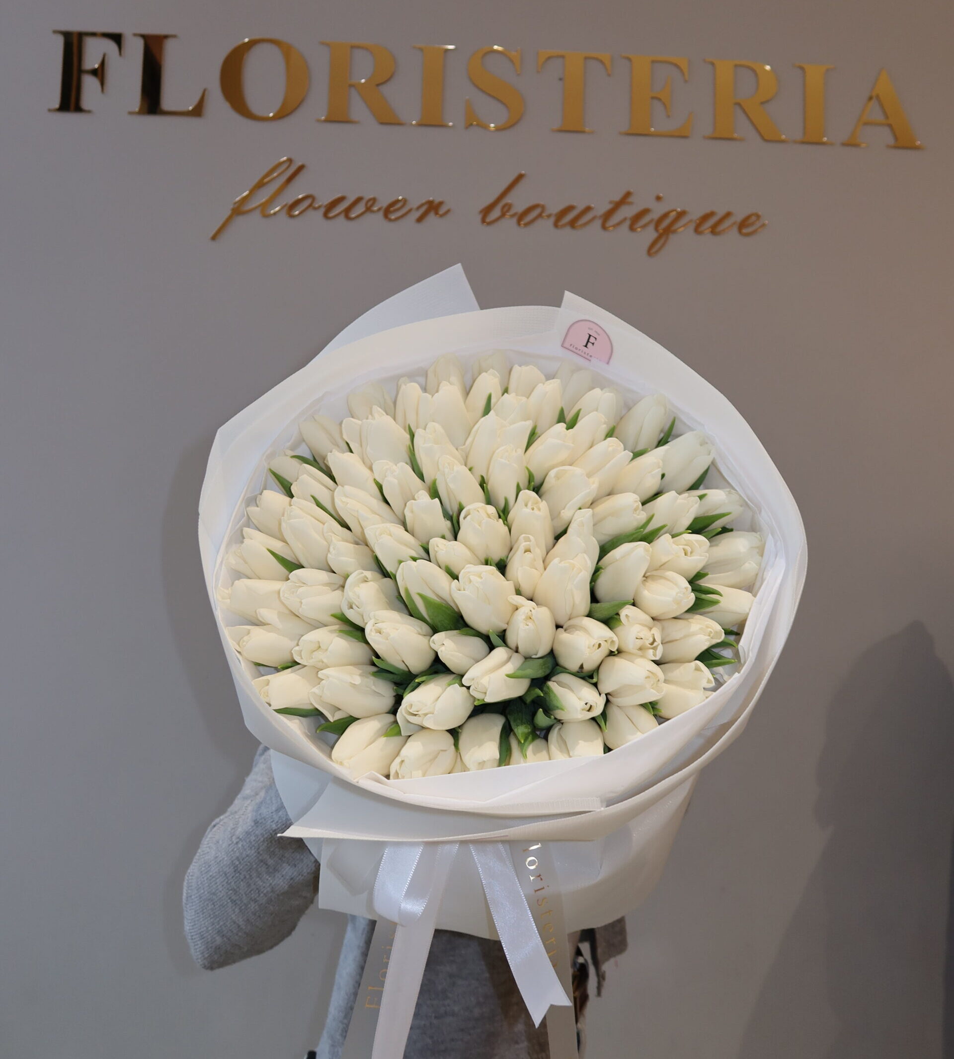 IMG_9841-scaled-e1770835293269-1.jpg IMG_9841-scaled-e1770835293269-1.jpg