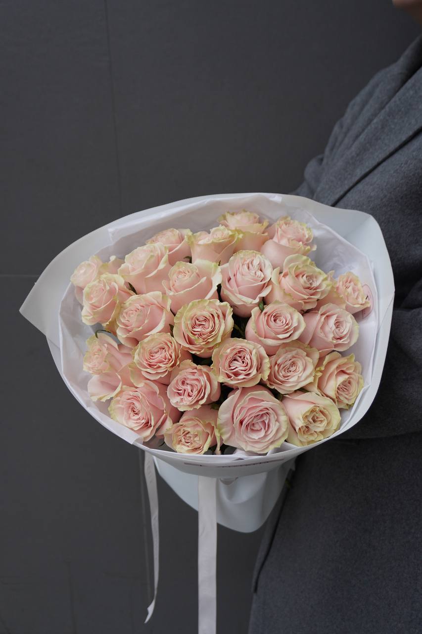 2025-01-31-19.53.02.jpg 2025-01-31-19.53.02.jpg