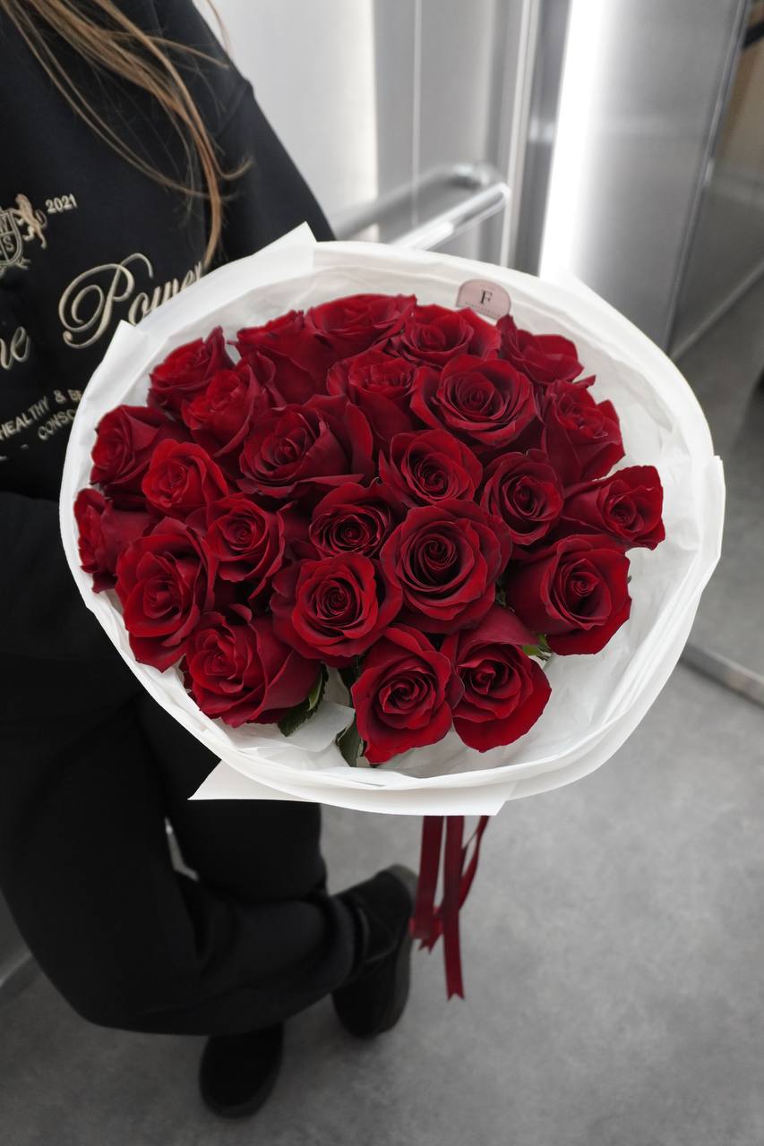 2025-02-09-11.07.16.jpg 2025-02-09-11.07.16.jpg