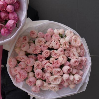 Букет з 25 кущових троянд Mansfield Park