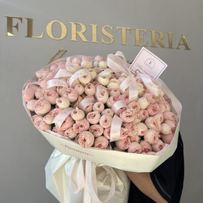 51 кущова троянда Mansfield Park