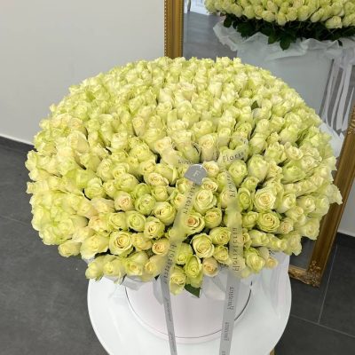 Бокс в розмірі XL з 301 троянди Athena