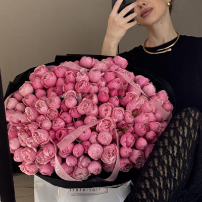 51 кущова троянда Silva Pink