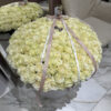 IMG_6280 IMG_6280
