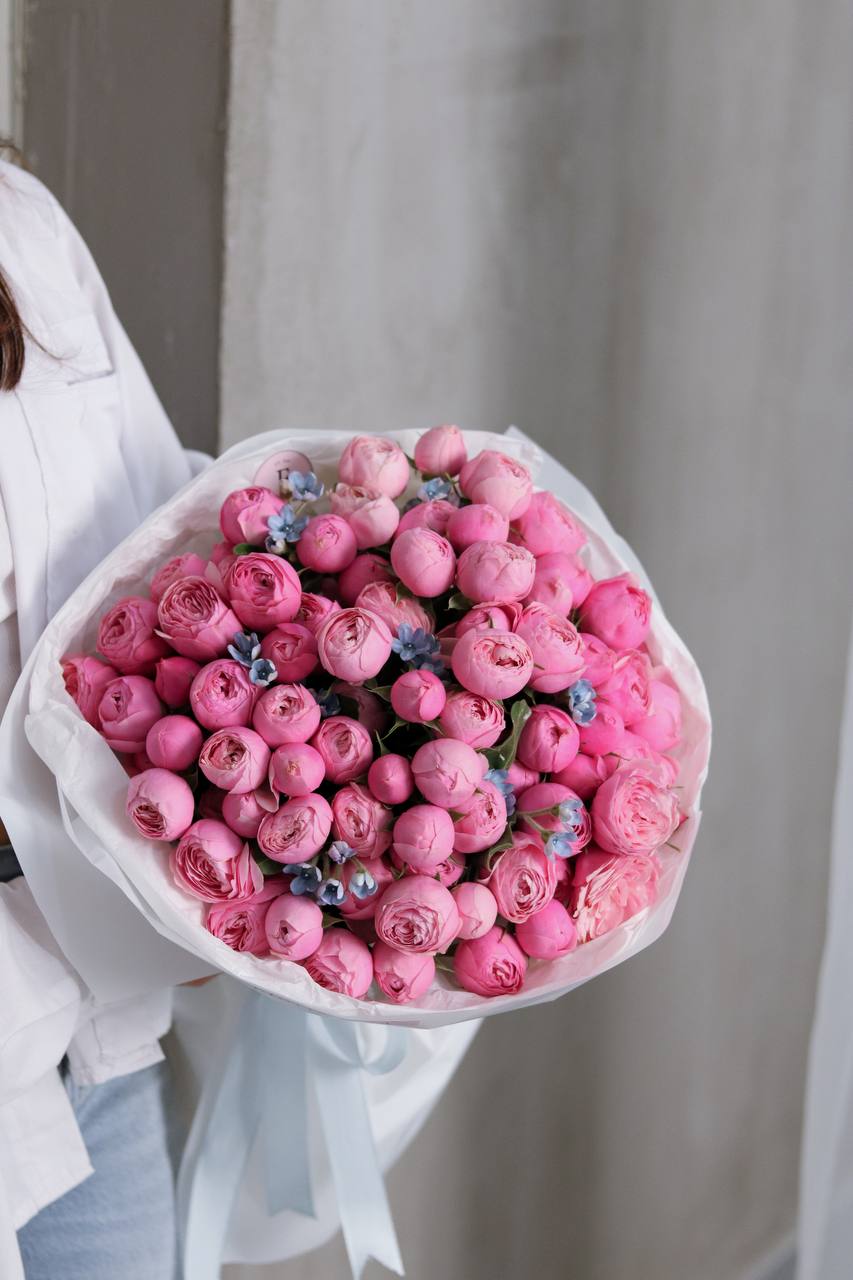 2024-02-04-16.09.56.jpg 2024-02-04-16.09.56.jpg