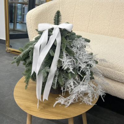 Ялинка в кашпо з нобілісу та аспарагусу